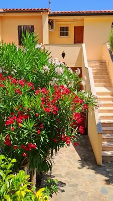 Giardino di Casa di Marco Independent apartment with spectacular view