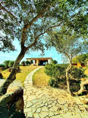 Giardino di Las Cortesas - Villini indipendenti in mezzo alla campagna e a pochi chilometri da Orosei