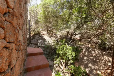 Giardino di VIllino Ginepro