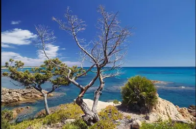 Paesaggio naturale nelle vicinanze della casa vacanze