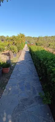 Planimetria di Orosei RE - Villa Aurora Rimedia a 50 metri dal mare