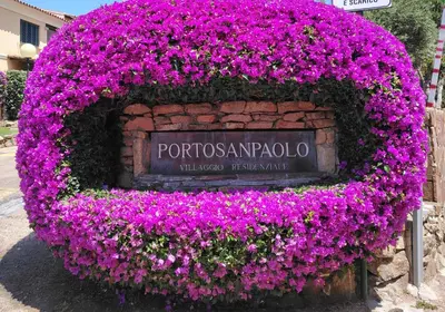 Giardino di TAVOLARA MAGIC HOUSE - mare e Tavolara view