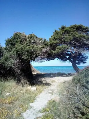 Paesaggio naturale nelle vicinanze della casa vacanze