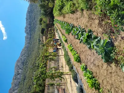 Paesaggio naturale nelle vicinanze della villa