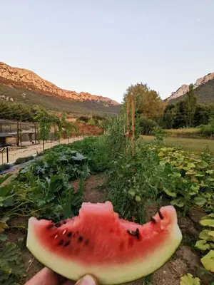 Paesaggio naturale nelle vicinanze della villa