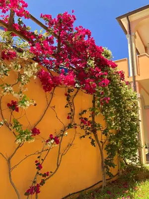 Giardino di Residence Corte Dei Venti