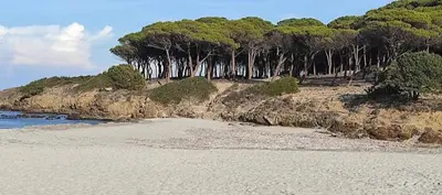 Paesaggio naturale nelle vicinanze dell'appartamento