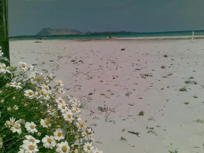 Paesaggio naturale nelle vicinanze della casa vacanze