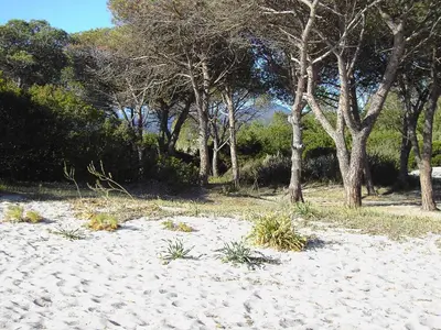 Paesaggio naturale nelle vicinanze dell'appartamento