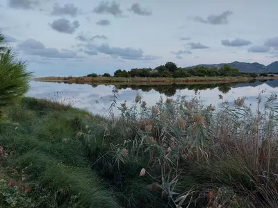 Paesaggio naturale nelle vicinanze dell'affittacamere