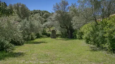 Paesaggio naturale nelle vicinanze dell'appartamento