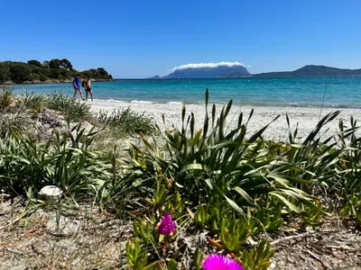 Paesaggio naturale nelle vicinanze dell'appartamento