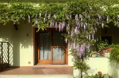 Giardino di Luciana House