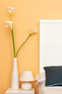 Planimetria di Hotel L'Aragosta