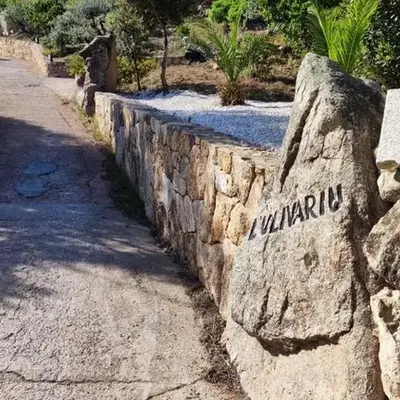 casa l'Ulivariu affittacamere