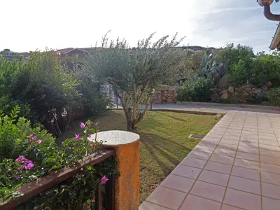 Giardino di Vista sul mare e tavolara BudoniAffitti