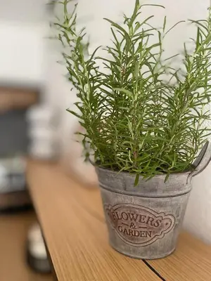 Planimetria di B&B Dimora Dorgali