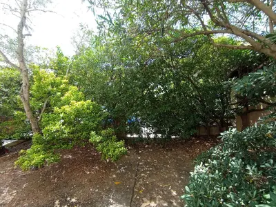 Giardino di Domus Garden