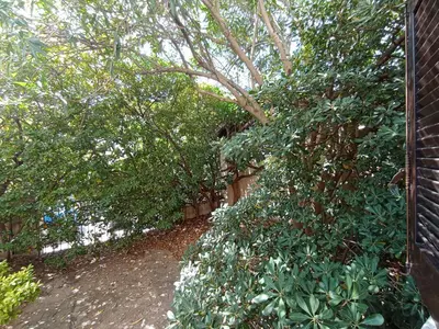 Giardino di Domus Garden