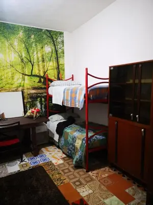 Letto o letti in una camera di Pinnettu sardo casa di campagna in ecosistema insetti e animaletti simpatici in condivisione,Leggere attentamente Prima di prenotare