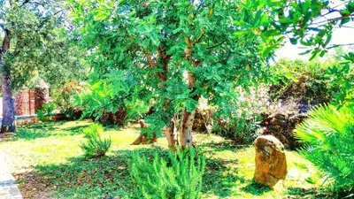 Giardino di Orosei RE - Villa Osala - 800 m dal mare