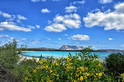 Paesaggio naturale nelle vicinanze dell'appartamento