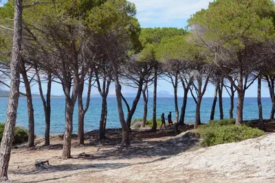 Paesaggio naturale nelle vicinanze dell'appartamento