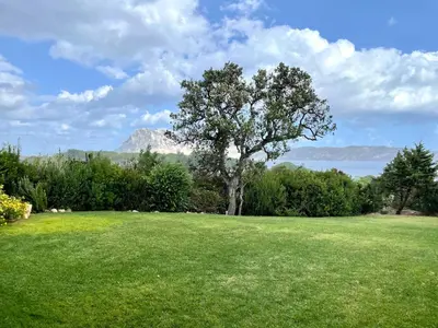 Paesaggio naturale nelle vicinanze della villa