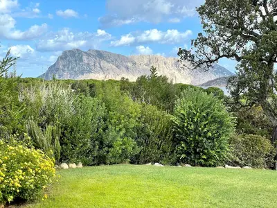 Paesaggio naturale nelle vicinanze della villa