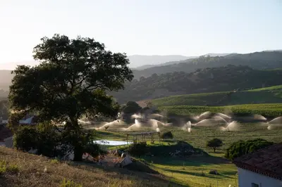 Paesaggio naturale nelle vicinanze della villa