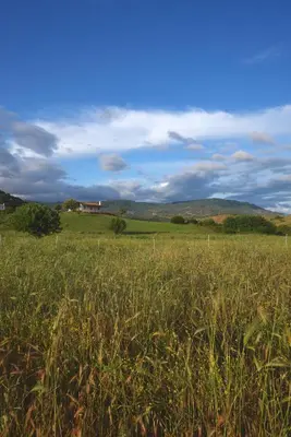 Paesaggio naturale nelle vicinanze della villa