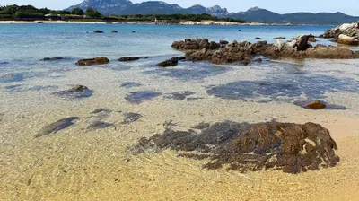 Paesaggio naturale nelle vicinanze dell'appartamento